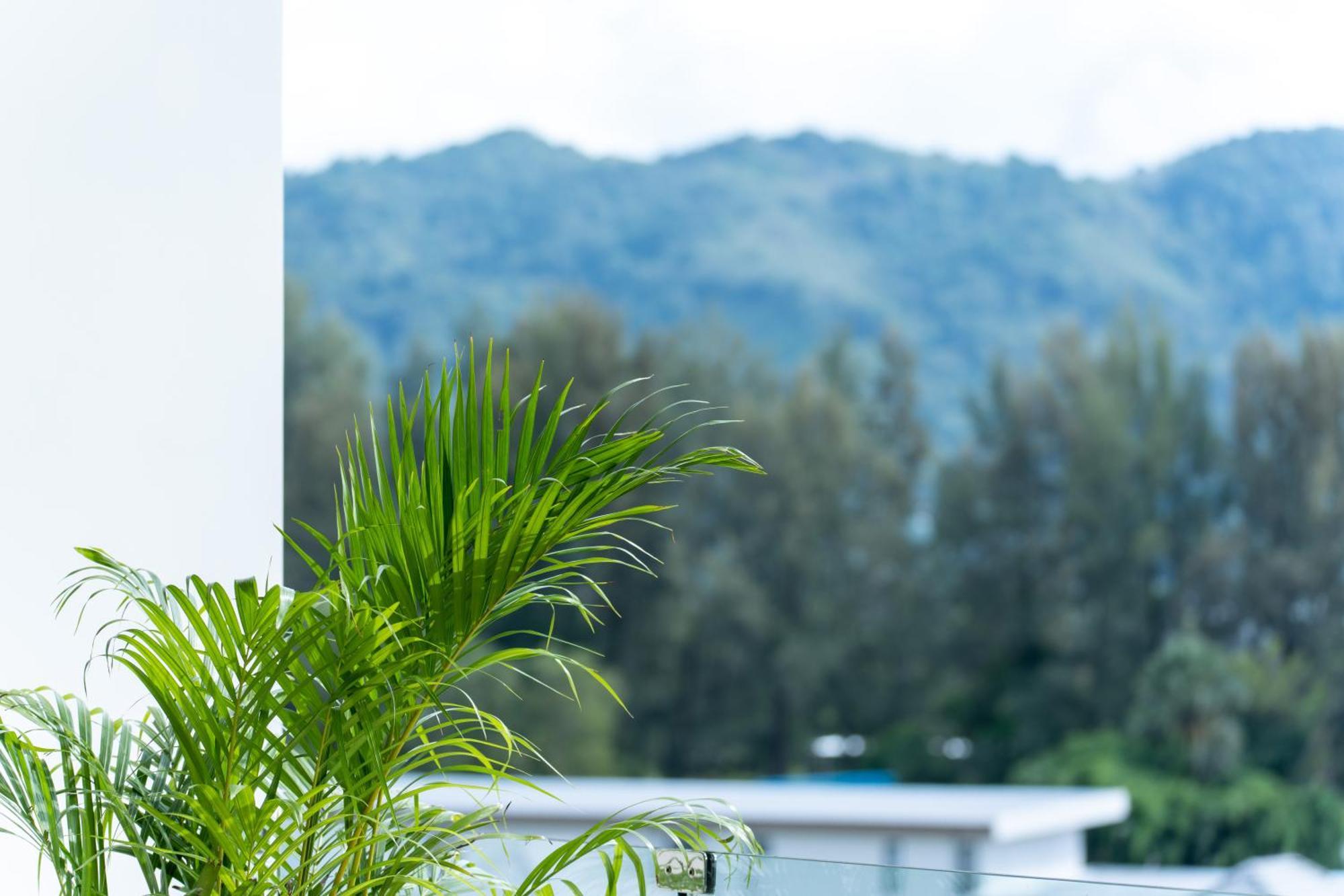 Sole Mio Boutique Hotel And Wellness - Adults Only 邦涛海滩 外观 照片